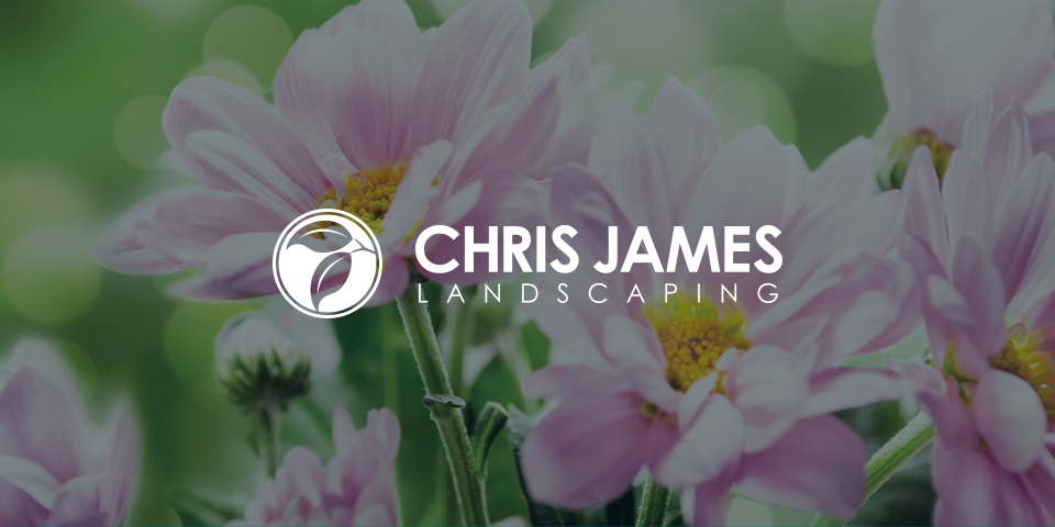 Chris James